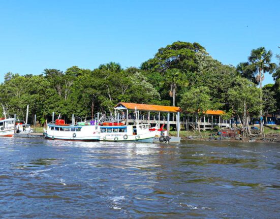 Ilha de Cotijuba em Belém, destacando a natureza exuberante onde ocorrerá a FLICOTI.