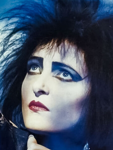 Contra-capa do livro Siouxsie and the Banshees: The Untold Story