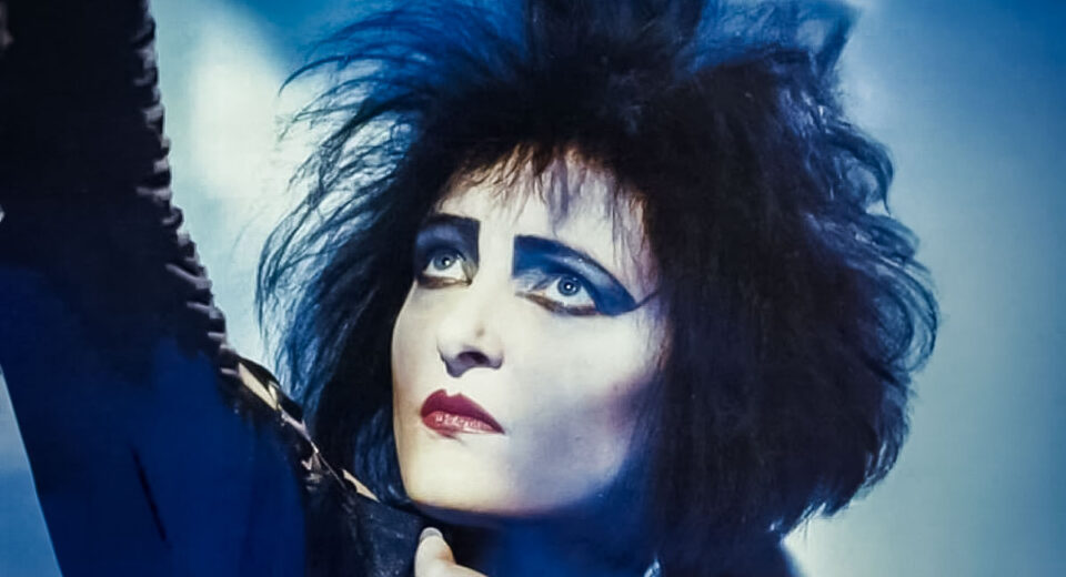 Contra-capa do livro Siouxsie and the Banshees: The Untold Story